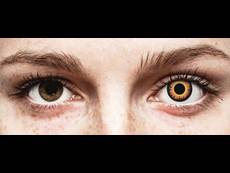 Orange Werewolf linser - ColourVUE Crazy (2 linser)