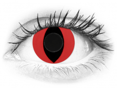 CRAZY LENS - Cat Eye Red - Endags icke-Dioptrisk (2 linser)
