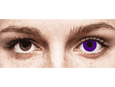 CRAZY LENS - Solid Violet - Endags icke-Dioptrisk (2 linser)