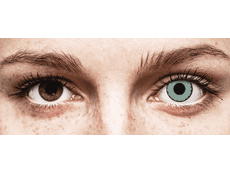 CRAZY LENS - Zombie Virus - Endags icke-Dioptrisk (2 linser)