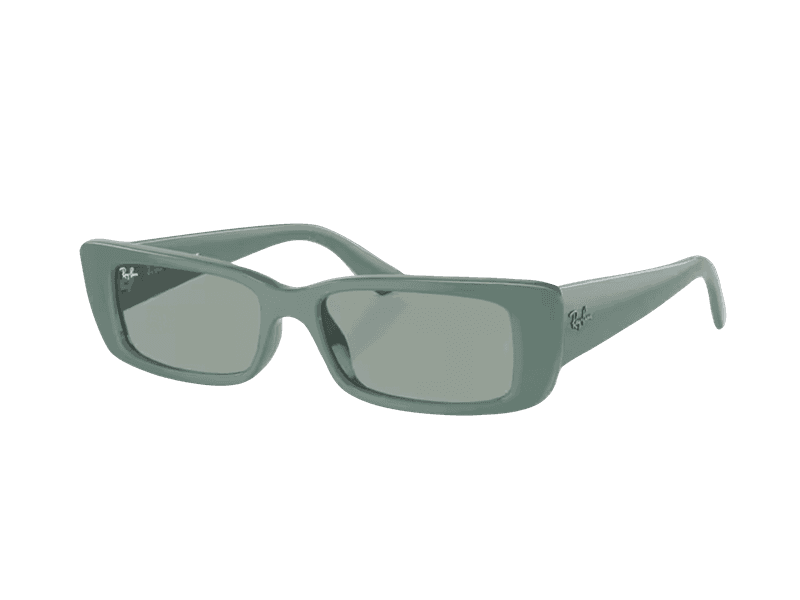 Ray-Ban Teru RB4425 676282