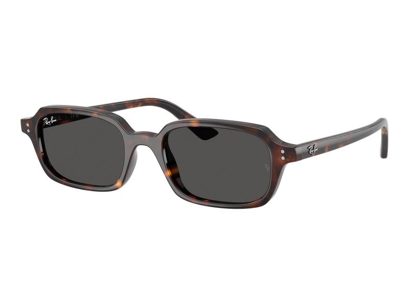 Ray-Ban RB4455 135987