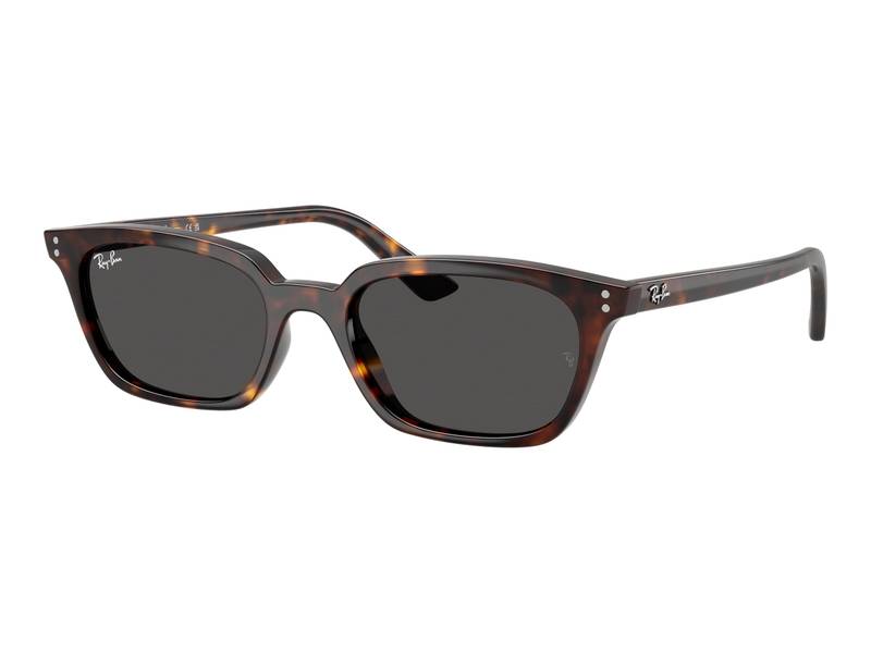 Ray-Ban RB4456 135987
